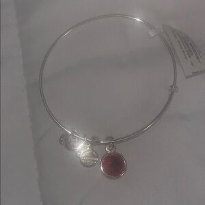 Silver and Ruby Alex and ani Charm Bangle Bracelet